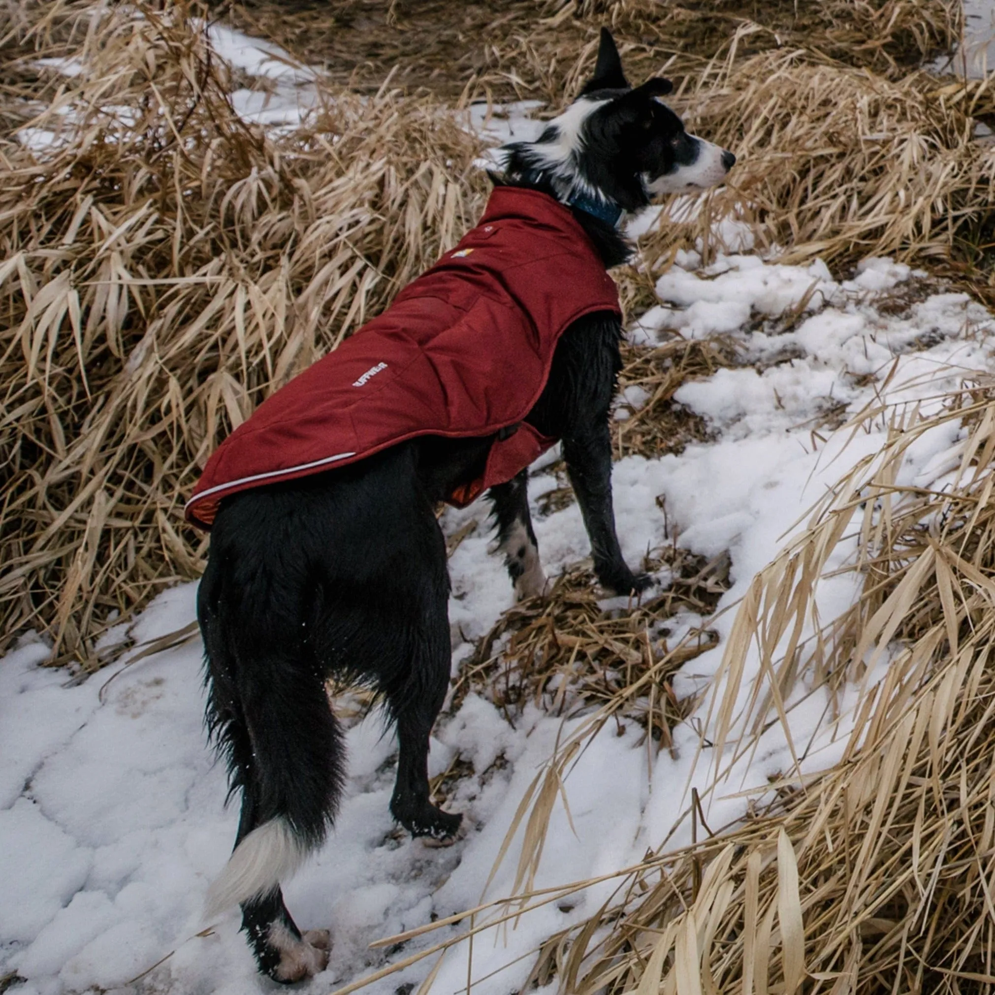 Ruffwear Quinzee Insulated Dog Jacket | Fired Brick Winter Warmth