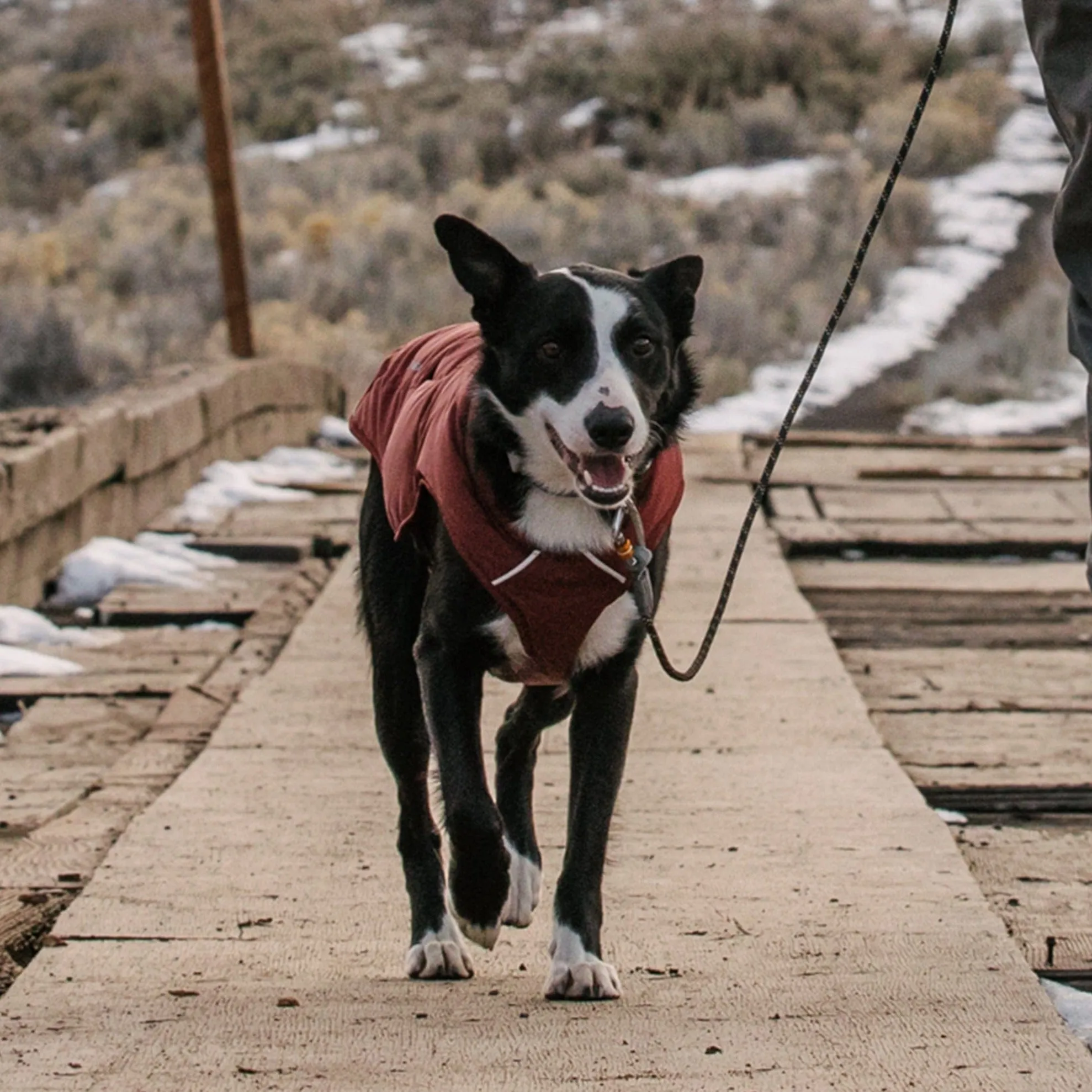 Ruffwear Quinzee Insulated Dog Jacket | Fired Brick Winter Warmth